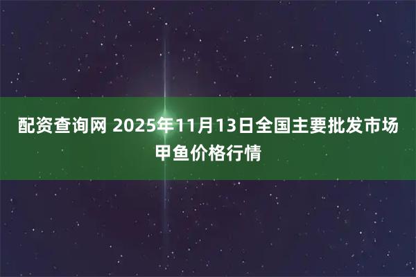 配资查询网 2025年11月13日全国主要批发市场甲鱼价格行情
