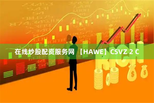 在线炒股配资服务网 【HAWE】CSVZ 2 C