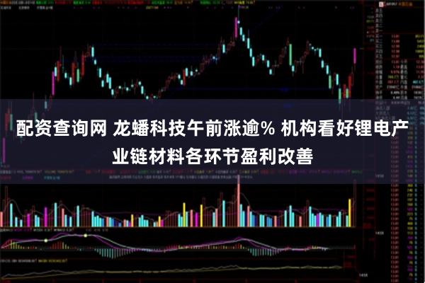 配资查询网 龙蟠科技午前涨逾% 机构看好锂电产业链材料各环节盈利改善