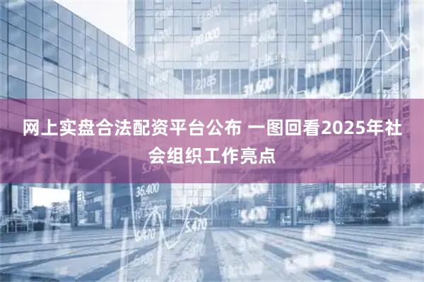 网上实盘合法配资平台公布 一图回看2025年社会组织工作亮点