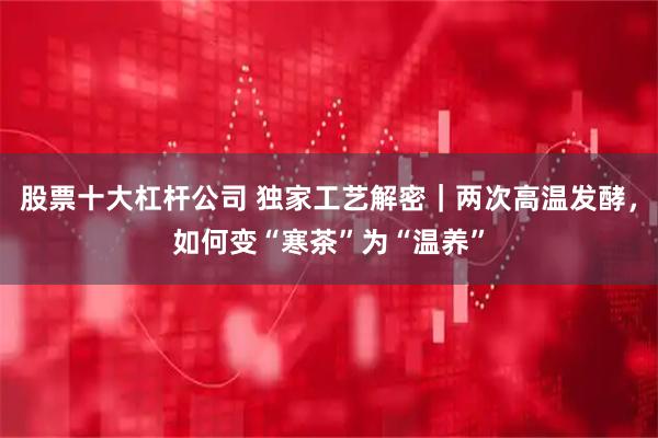 股票十大杠杆公司 独家工艺解密｜两次高温发酵，如何变“寒茶”为“温养”